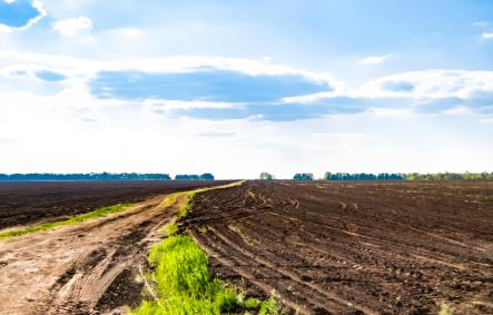 划拨土地出让金征收标准2025最新