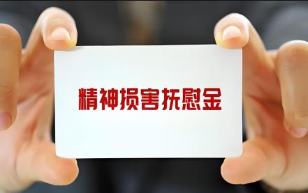 车祸精神抚慰金赔偿标准2025最新