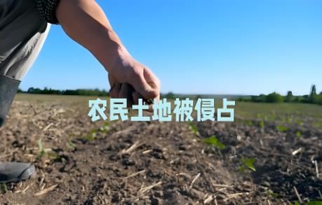2025年非法占用农用地罪量刑标准最新