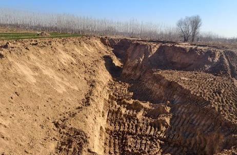 2025年耕地被毁坏赔偿标准最新