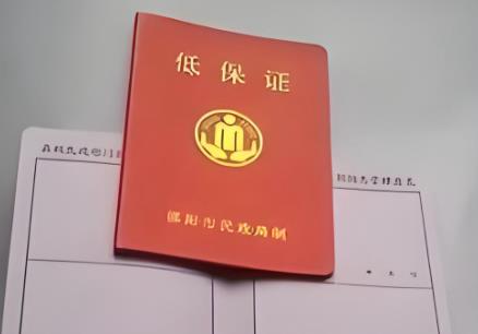 2025年低保户看病有哪些优惠政策