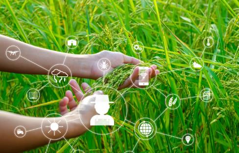 2025年中华人民共和国农业技术推广法修正