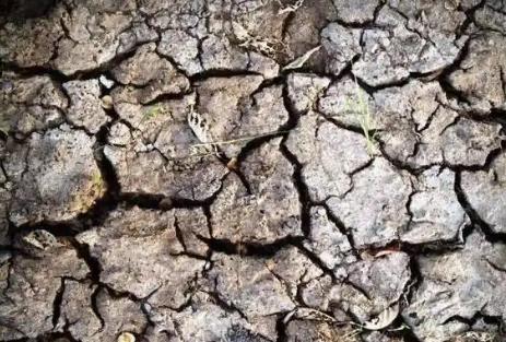 土地利用年度计划管理办法2025修订