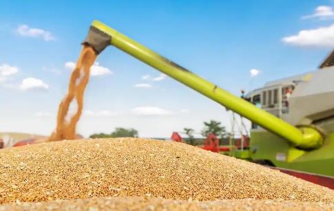 农业综合开发资金