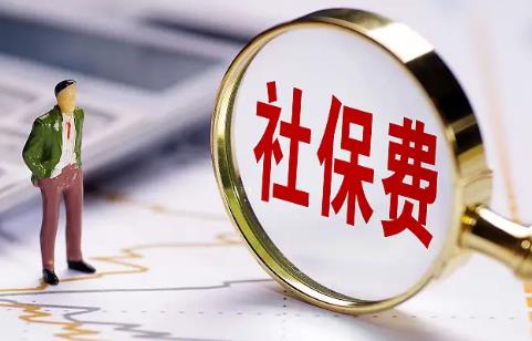 个体户社保缴费新规定2025年