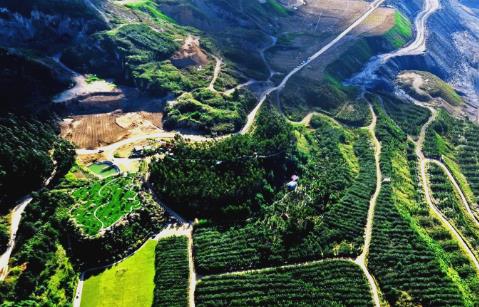 2025年朝阳市矿山生态修复条例全文