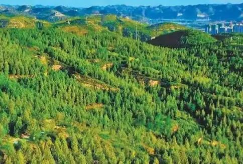 林业草原生态保护恢复资金管理办法2025全文