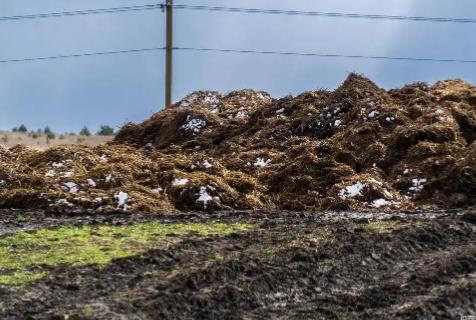 阳江市畜禽养殖污染防治条例2025全文