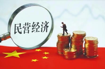 海南自由贸易港促进民营经济发展若干规定2025全文