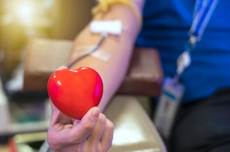 河北省献血条例