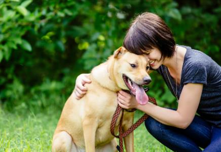 西安市限制养犬条例2025修正