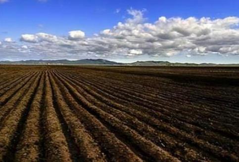 集体土地承包期限规定2025年