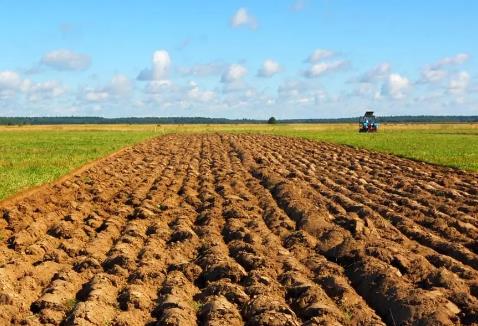 2025年集体土地承包法律规定最新