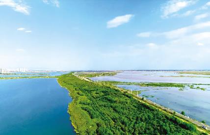 天津市湿地保护条例2025修订