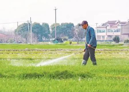海南经济特区农药管理若干规定2026修订
