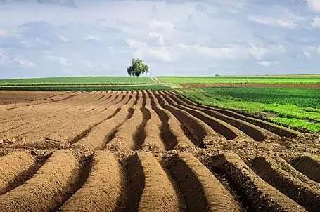 非法批准征收、征用、占用土地罪量刑标准2026年