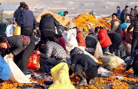 聚众哄抢罪量刑标准最新2026年