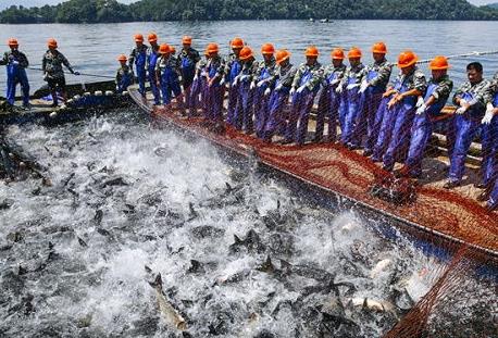 中华人民共和国渔业法