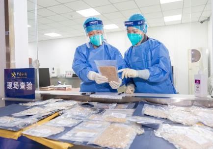 中华人民共和国海关进境植物繁殖材料检疫管理办法2026全文