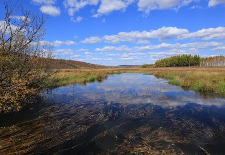 济宁市湿地保护条例2026全文