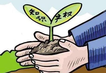 知识产权保护