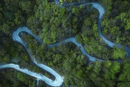 违法发放林木采伐许可证罪量刑标准最新2026