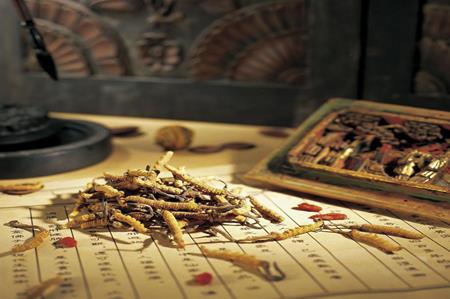 2026年中华人民共和国中医药法最新