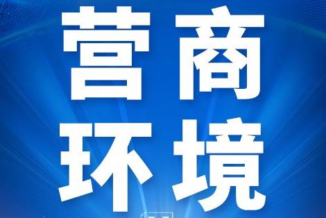 儋州市优化营商环境若干规定2026全文