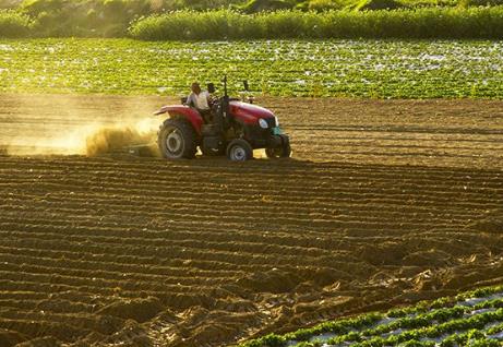 中华人民共和国耕地占用税法2026全文