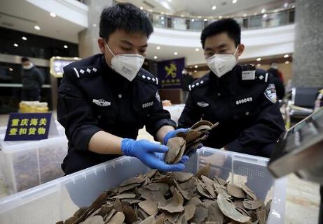 放纵走私罪量刑标准2026最新