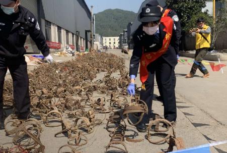 非法狩猎罪量刑标准最新规定2026年