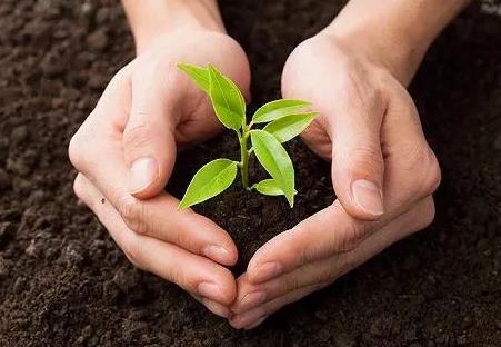 中华人民共和国土壤污染防治法2026全文