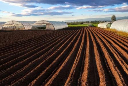 2026年中华人民共和国土地管理法实施条例全文