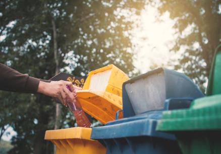 雅安市城市生活垃圾分类处理若干规定2026全文