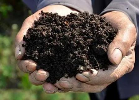 破坏黑土地资源