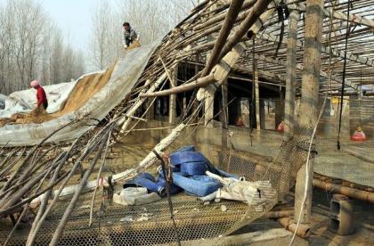 养殖场拆迁补偿标准明细2026年最新