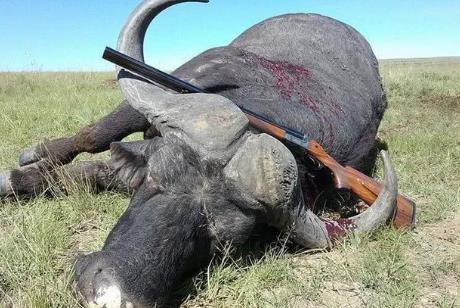 2026年破坏野生动物资源刑事案件司法解释全文