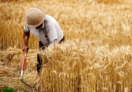粮食安全保障法