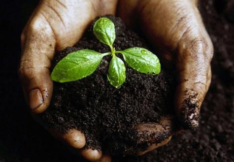 土壤污染防治法