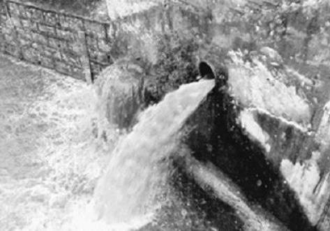 城镇污水排入