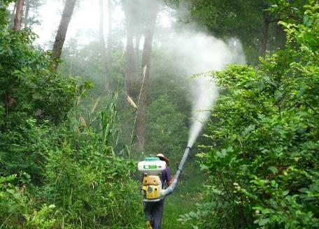 森林病虫害防治