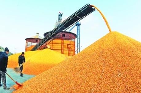 甘肃省粮食储备安全管理办法2026全文