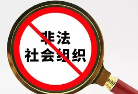 山东省社会组织年度检查实施办法2026全文