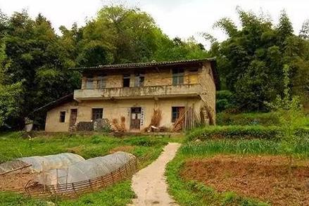 农村宅基地继承权新规定2026年