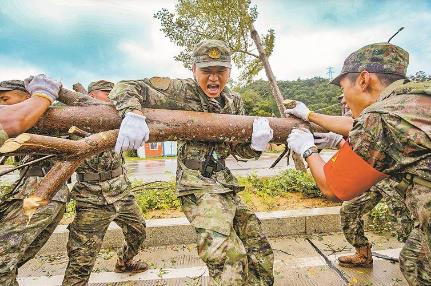 湖南省民兵权益保障办法2026全文