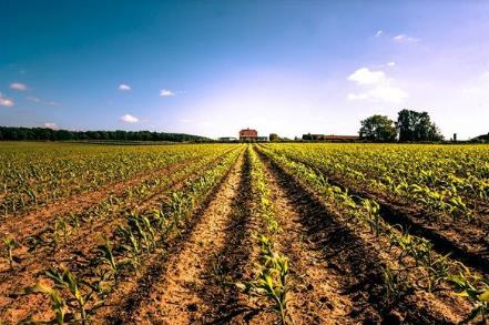 农村土地征收补偿标准2026年最新