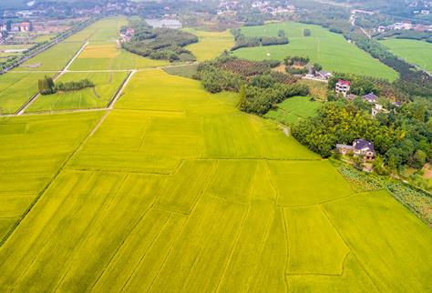 长春市永久基本农田保护条例2026全文