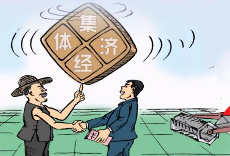 陕西省农村集体经济组织财务制度实施细则2026全文