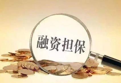 山东省融资担保公司监督管理办法2026全文