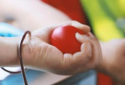 河南省献血条例2026全文